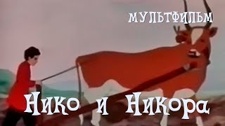 Нико и Никора (1954) Мультфильм Григорий Чмутов, Аркадий Хинтибидзе