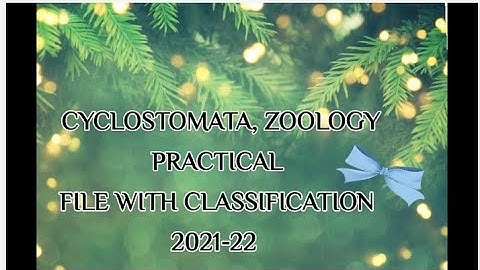 Cyclostomata, Zoology  practical  file with classification 2021-22