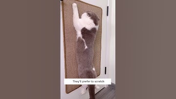 Mat Scratcher That Trims Cats Nails?? 😱