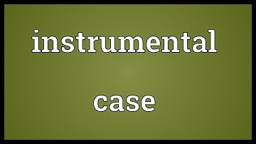 Instrumental case Meaning