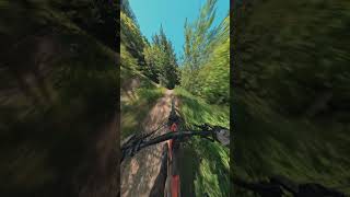 SWU Trails – Flowline | Blaustein / Ulm 🔵
