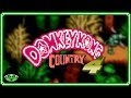 Donkey kong country 4 nes redux  pirategamething