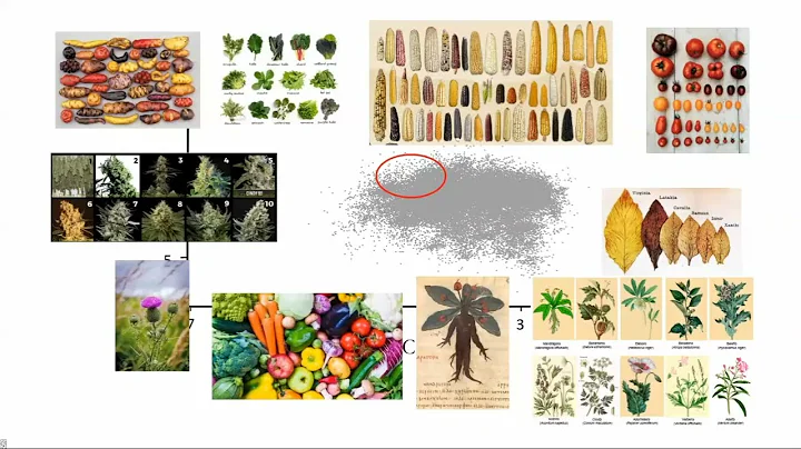 Sandra Daz - Plant Biology: Mechanisms Meet Biodiv...