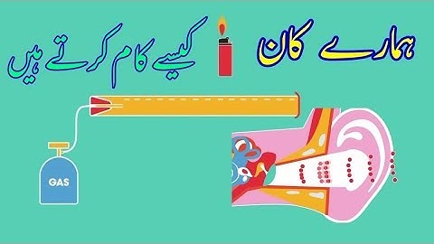 Sound Waves in Action Waves Physics in urdu | Urdu Science