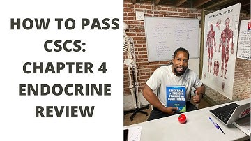 How to pass CSCS Ch. 4: Endocrine review w/ Show Up Fitness | Pass within 60-days w/ ONLINE classes