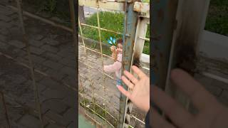 Tellerin Arkasında Kedimi Aldı Kaçıyor Şfetbeniöneçıkar