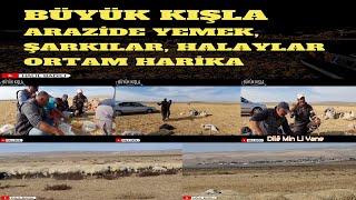  Büyük Kişla Arazi̇de Yemek Şarkilar Halaylar Ortam Hari̇ka