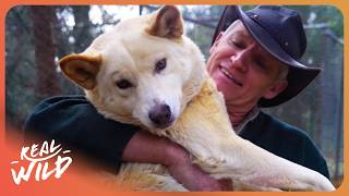 PREDATOR PETS: Living With Australia’s Deadliest Apex Predators