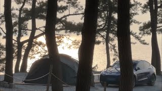 뷰 좋고 쾌적한 바다 앞 캠핑장 | 태안 사목공원캠핑장