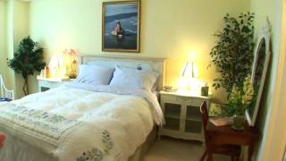 Caseville Harbor Light Downtown Waterfront Condominiums Unit 13 flv