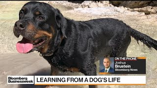 Dogs Could Help Us Live Longer
