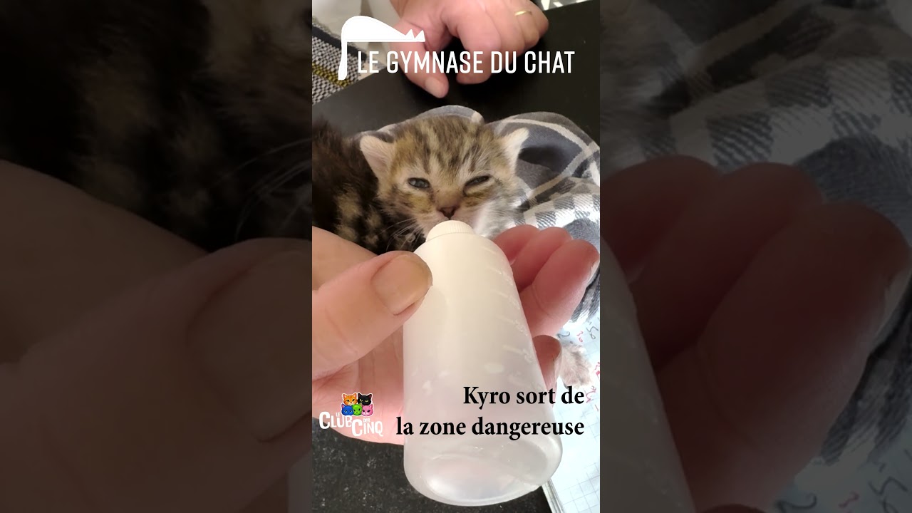 LE CLUB DES CINQ : Kyro sort de la zone dangereuse :)