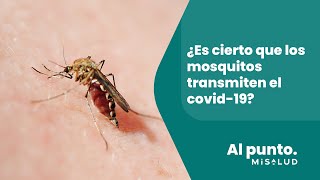 ¿Es cierto que los mosquitos transmiten el covid-19? | MiSalud Al Punto