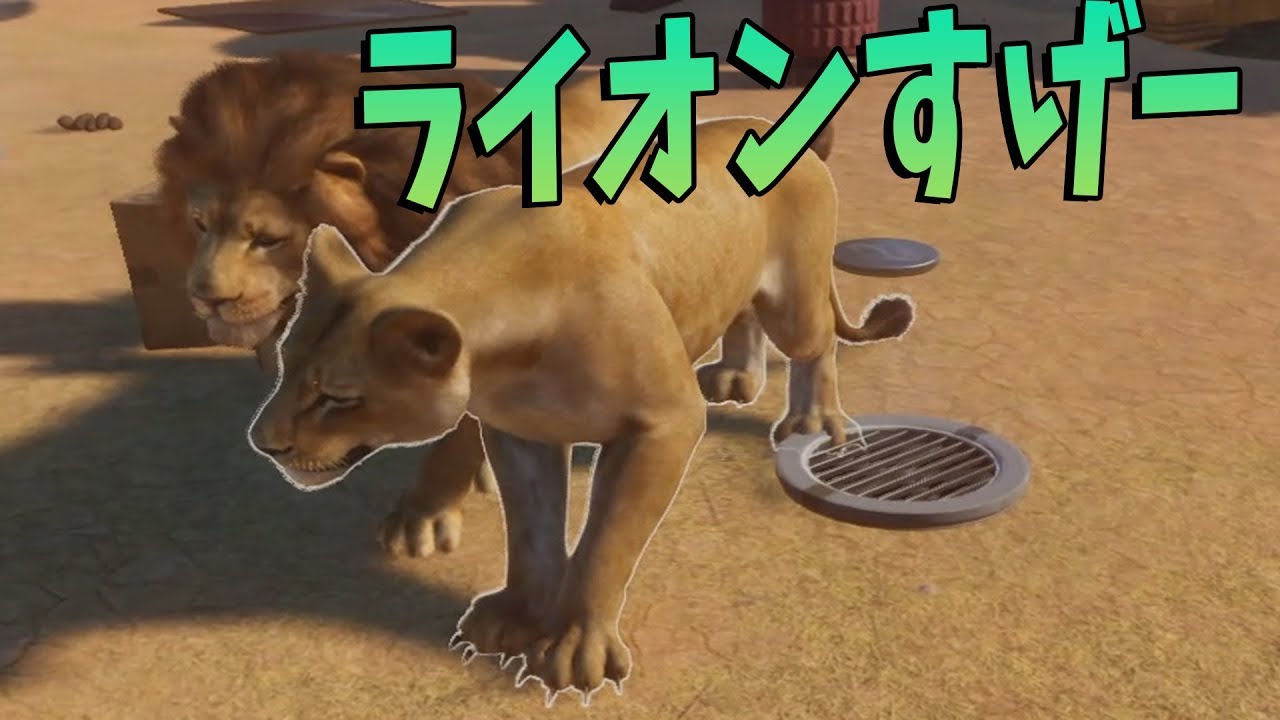 ライオン飼ったけどやっぱすげーわ -Planet Zoo #28【KUN】 - YouTube