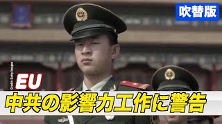 〈吹替版〉EU 中共の影響力工作に警告