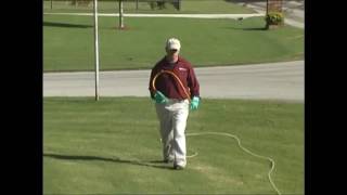 Fairway Lawns: lawn care process
