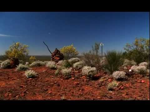 Perenjori.mp4