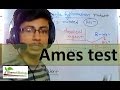 Ames test