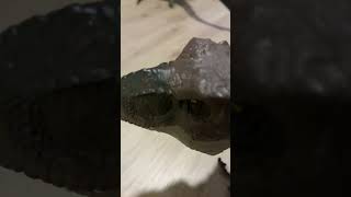 POV: you sneeze in Ohio (part 1)