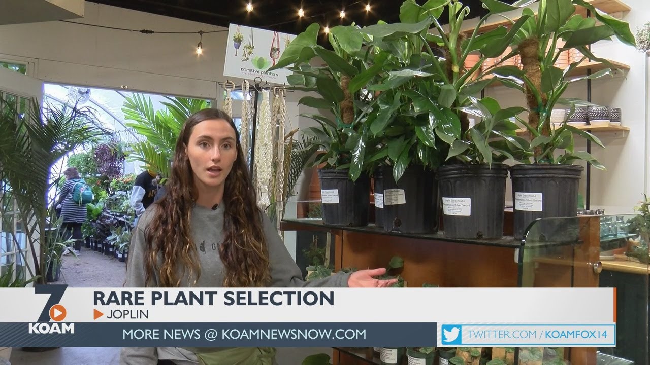 Customers show support for rare plant selection at Joplin Greenhouse
