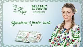 Lorena Dupu & Orchestra ,,Lăutarii