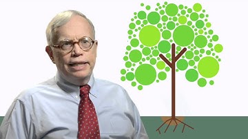 James Heckman - Skills Beget Skills