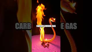 Creating a DIY Fire Snake - Exploring Sugar and Baking Soda Reaction