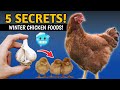 Top 5 Winter SUPER FOODS That Keep Chickens Warm🔥| Natural Chicken Feed | Winter Chicken Care