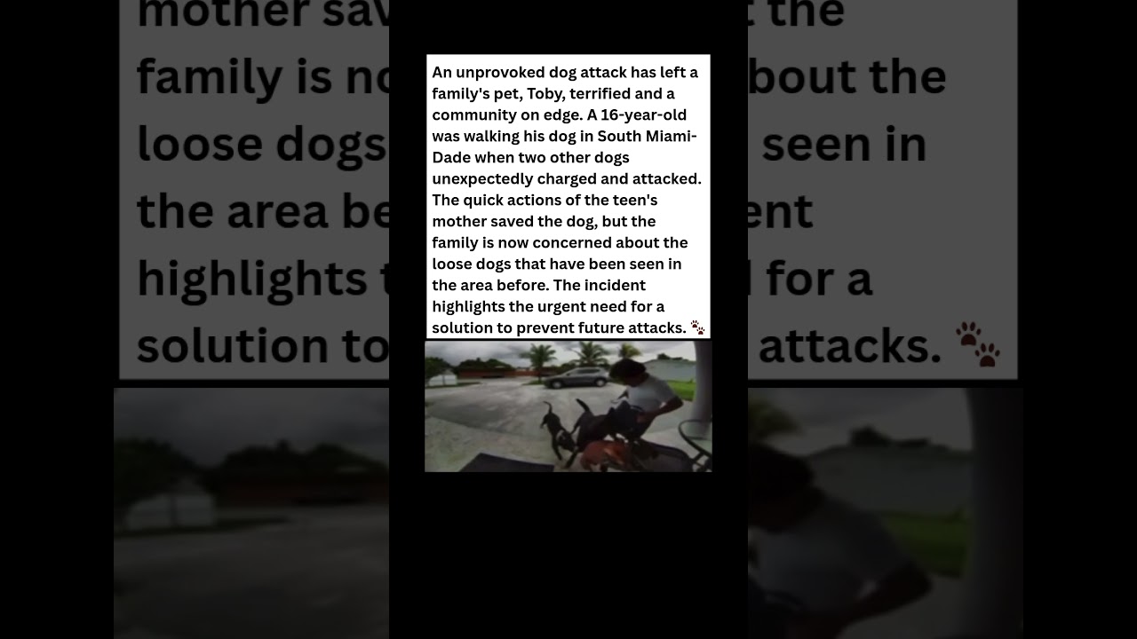 Teen's Heroic Act Saves Dog from Vicious Attack 