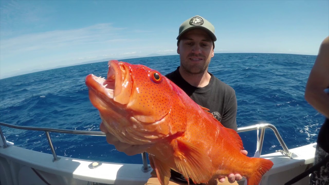 Reef fishing charters with Cairns Reef Fishing on the Great Barrier Reef