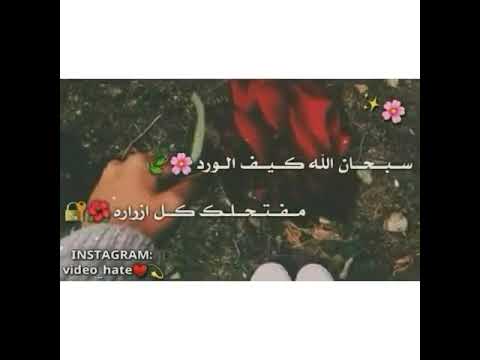 حلات وتس اب بنص شباط بعز البرد