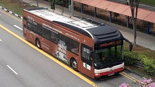 (Pollen Collection II Full Body Advertisement) SMB1338E On Service 169 At Yishun Avenue 2 (Pollen Collection II Full Body Advertisement) SMB1338E On Service 169 At Yishun Avenue 2