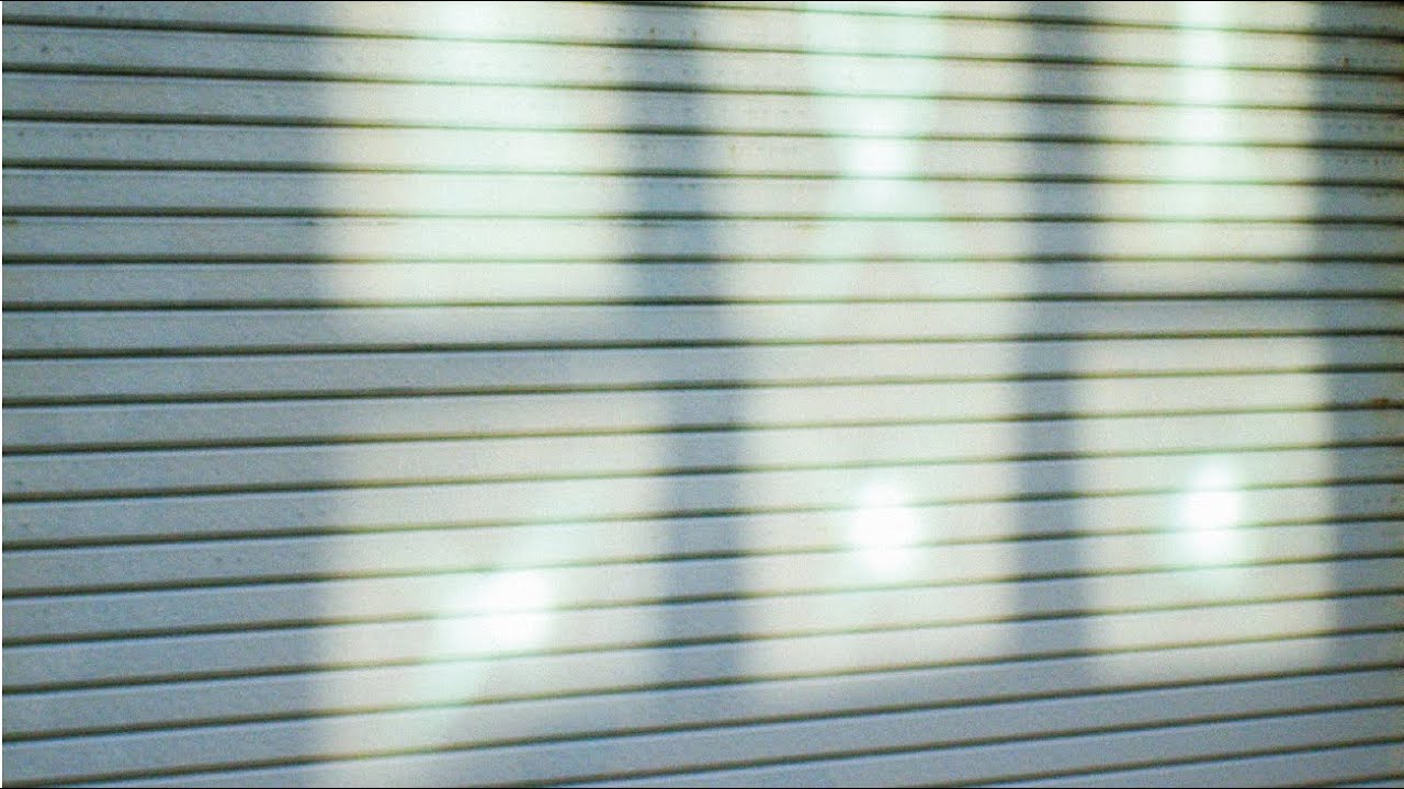 삶으로서의 도쿄