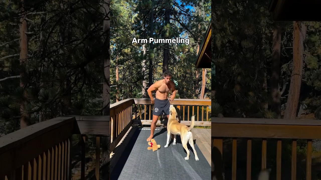 Daily Movement Routine 👀