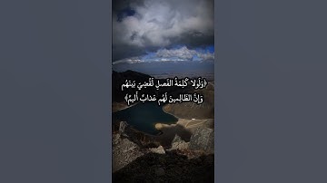 #تلاوات #اكسبلور #المصحف #تلاوة_خاشعة #راحة_نفسية #الرحمن #القرآن_الكريم #لايك #تلاوات_خاشعة #quran