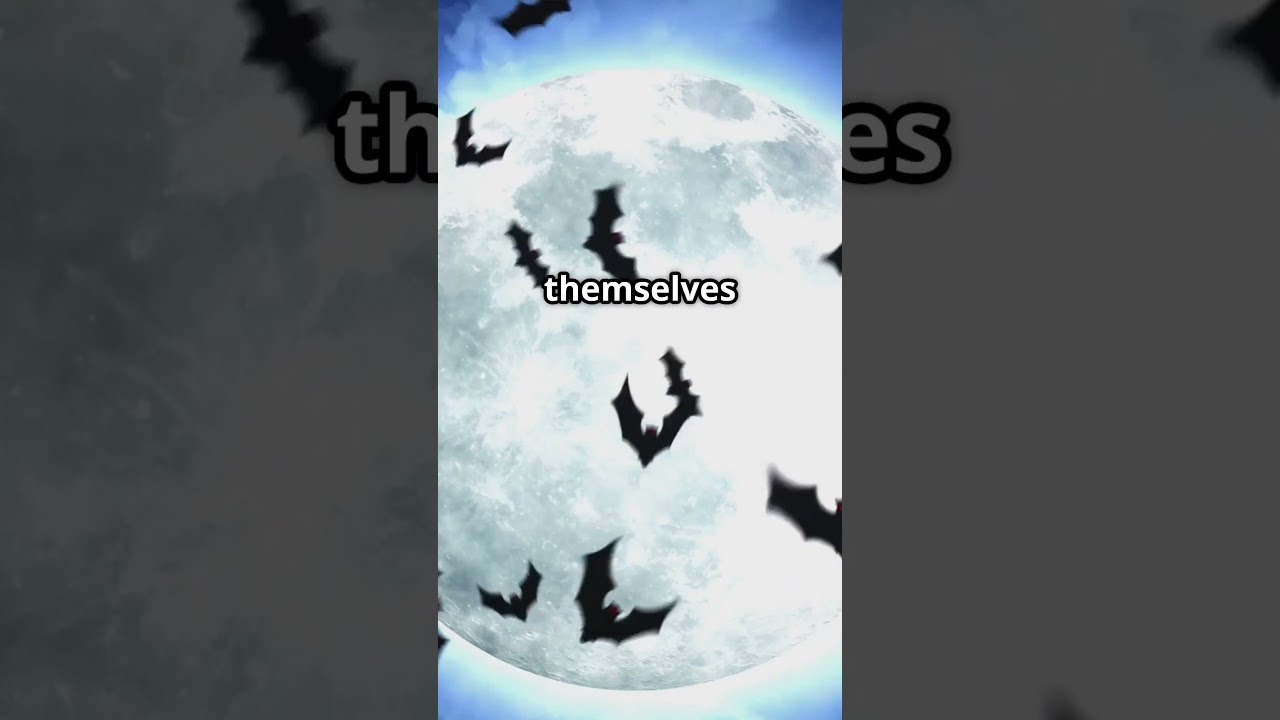 Why don’t moths fly into the sun if they love light?