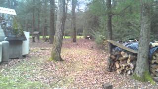 1 lb Exploding Target