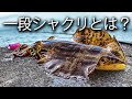 地味すぎる「一段」が最強の武器に変わる。