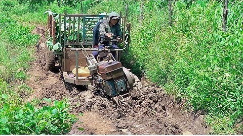 Xe công nông cầu trượt chở chuối gặp bùn lầy lội cực khỏe và cái kết