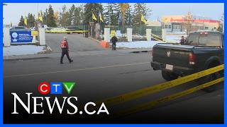 Pedestrian seriously injured in Martindale collision |CTV News Calgary Noon Update for Oct. 26, 2026