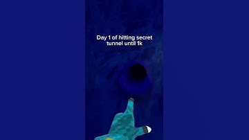 Day 1 of hitting secret tunnel until 1k subs🤫 #foryou #1k #gorillatag #oculusquest #secrettunnel