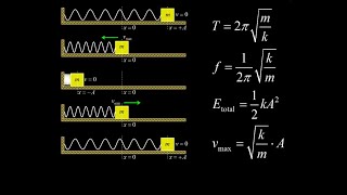 Simple harmonic oscillator:  amplitude and maximum speed, period, frequency, energy, acceleration.