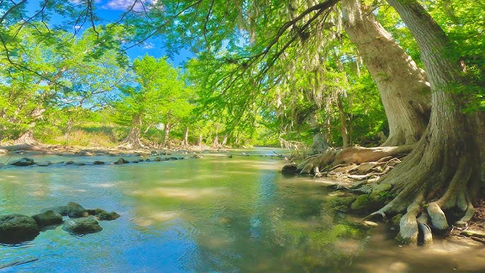 Spring Branch