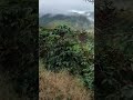 samurai sj413 por los paisajes cafeteros #agriculture