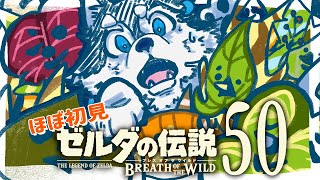 【はじめてのゼルダの伝説】＃50　コログうおおおお！！！！！【BotW】
