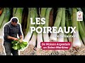 3 recettes faciles pour cuisiner le poireau dans son intégralité