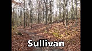 SULLIVAN as a Family Name   Meaning and Origin