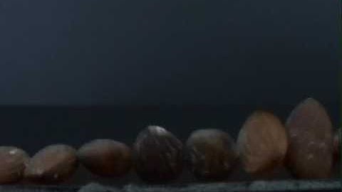 Markus Netterscheidt- AGLAOPHONOS- Artvideo