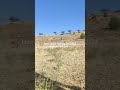 hang glider training  Dec 2024