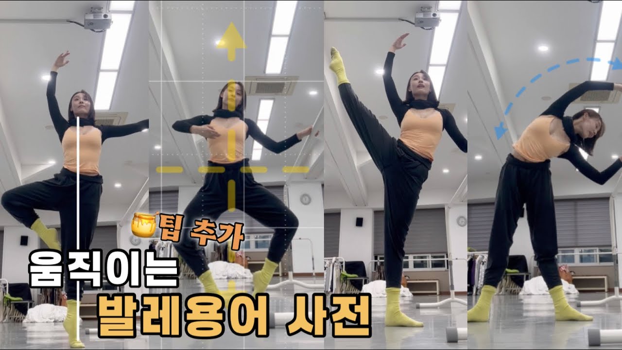움직이는 발레 용어사전📚| 세로로그| 발레 클래스 바 워크 꿀팁 전수 받으실 분?! | 플리에 어떻게 해요 턴듀는요 발란스 잘 하는 법 |